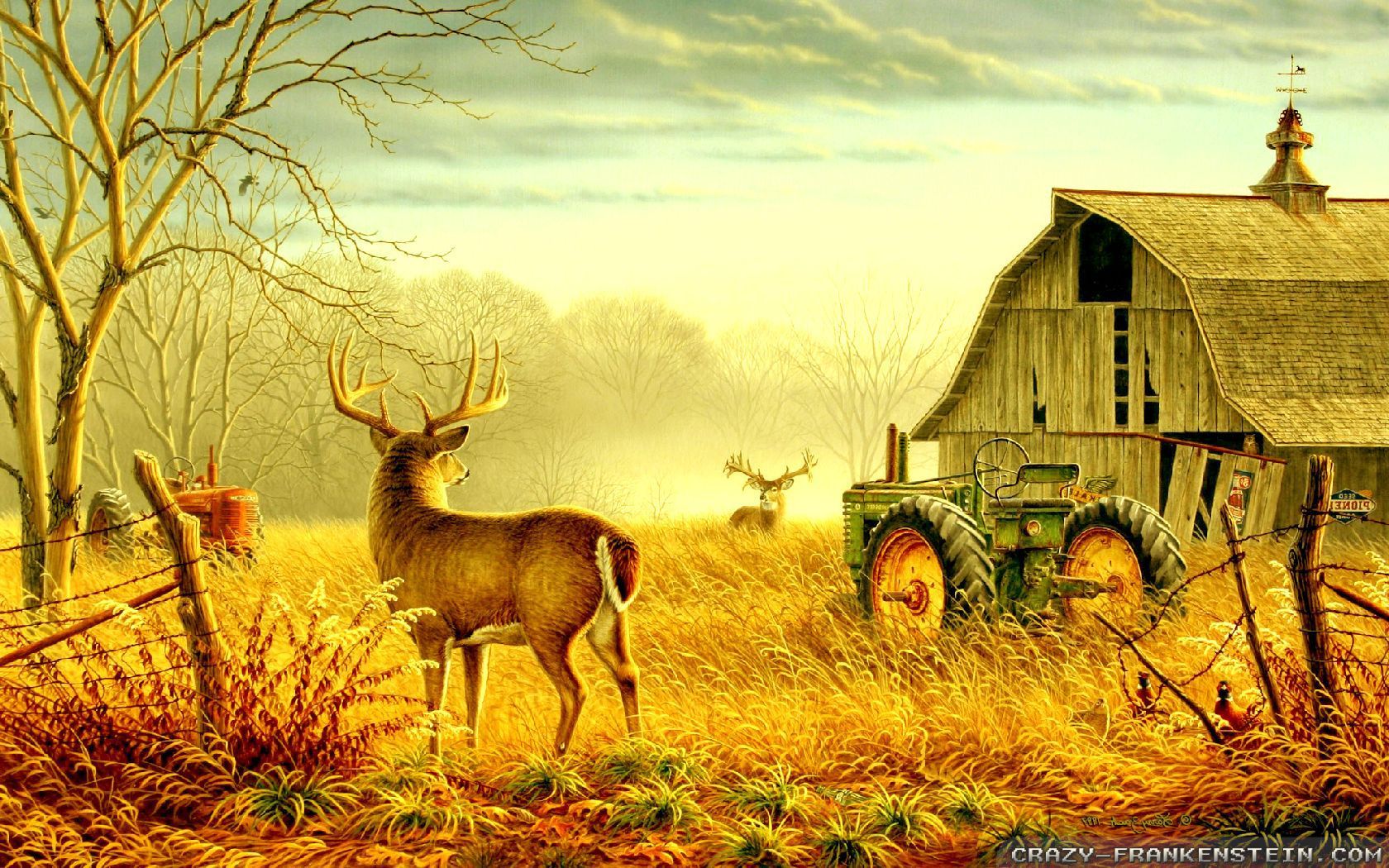 Deer Scene Wallpapers