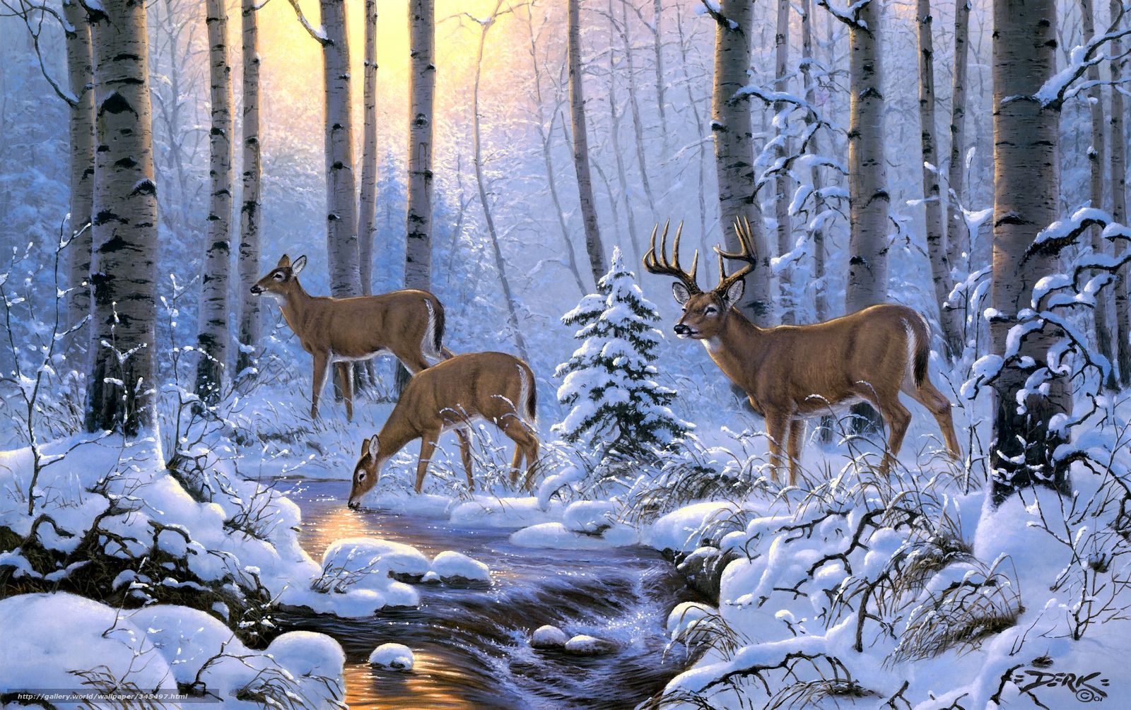 Deer Scene Wallpapers