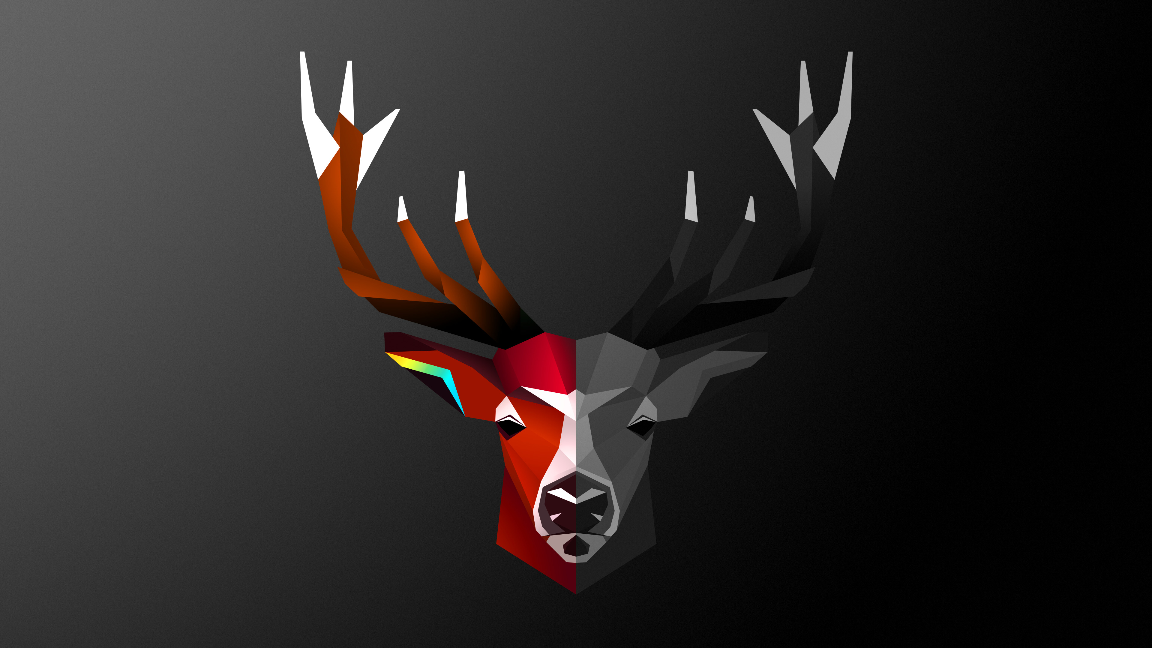 Deer Wallpapers