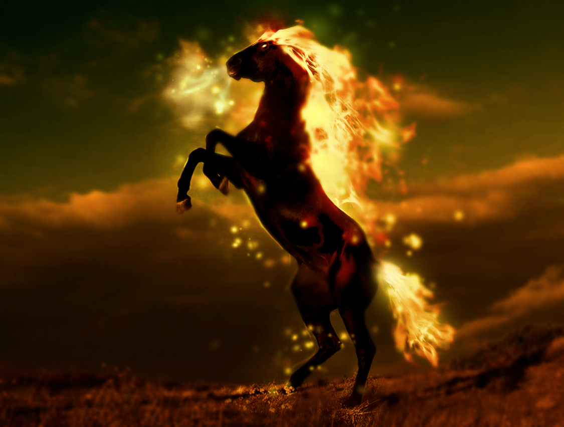 Demon Horse Wallpapers