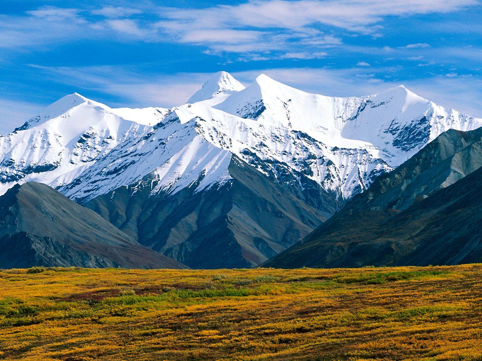 Denali Wallpapers