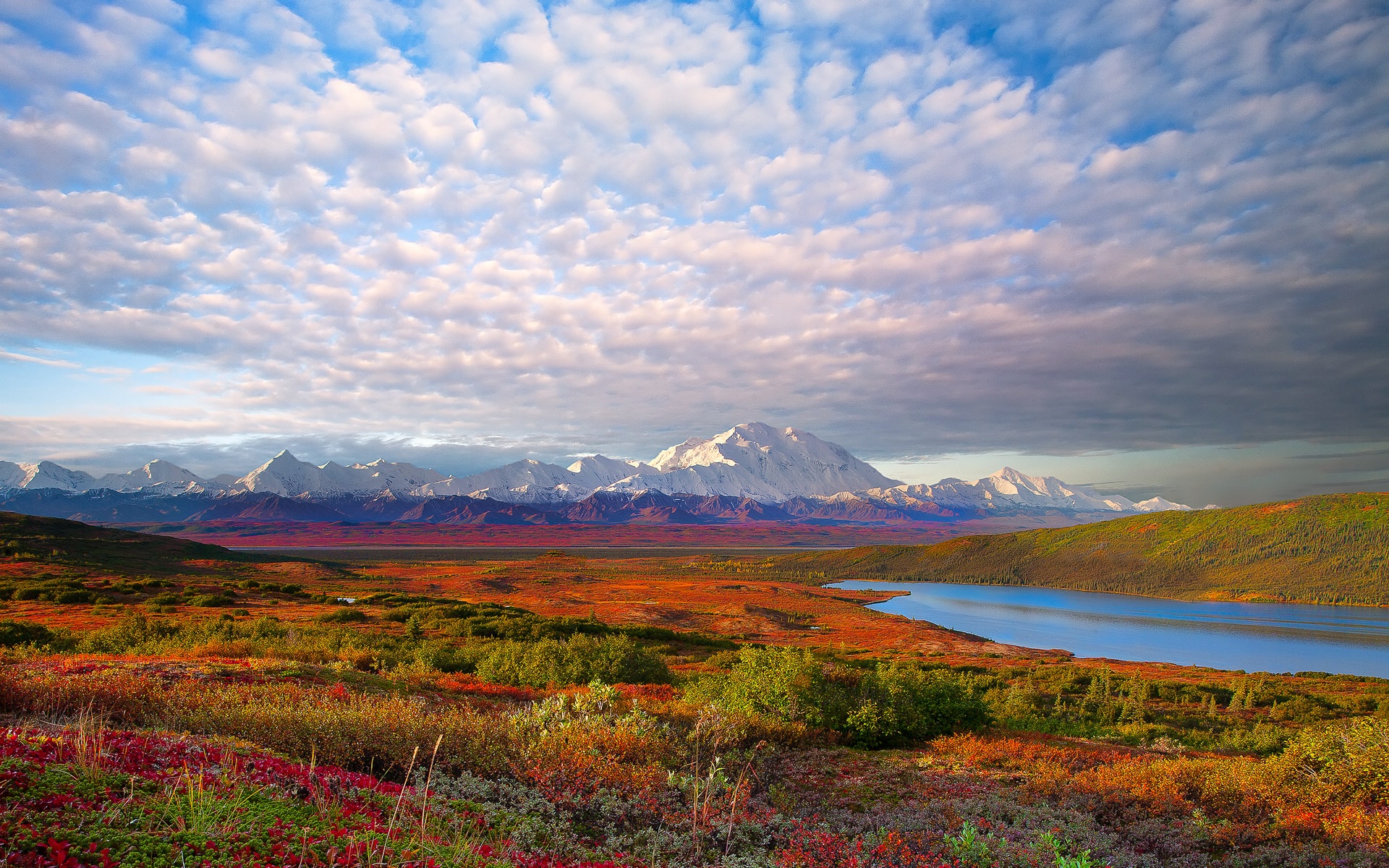 Denali Wallpapers