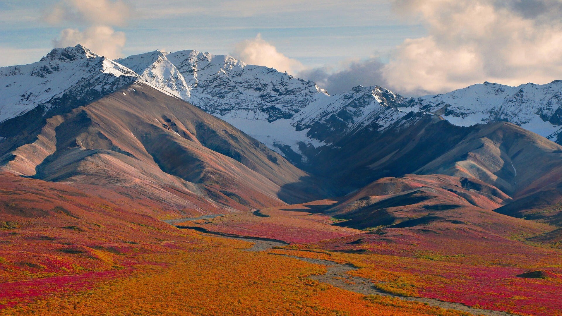 Denali Wallpapers