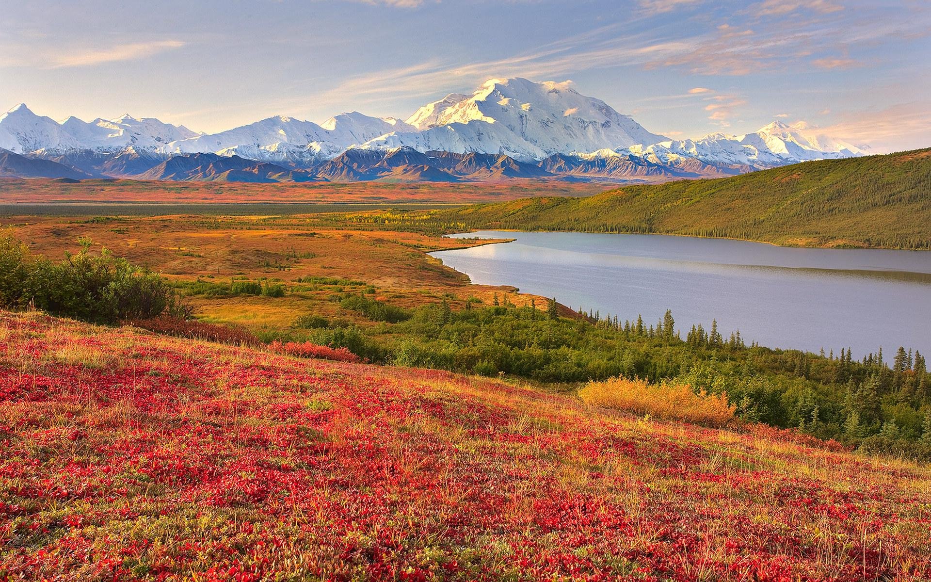 Denali Wallpapers