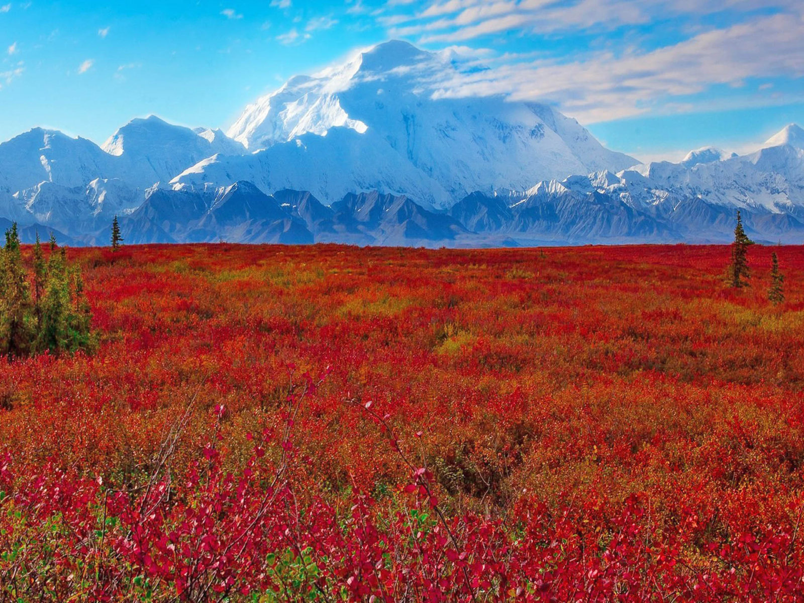 Denali Wallpapers