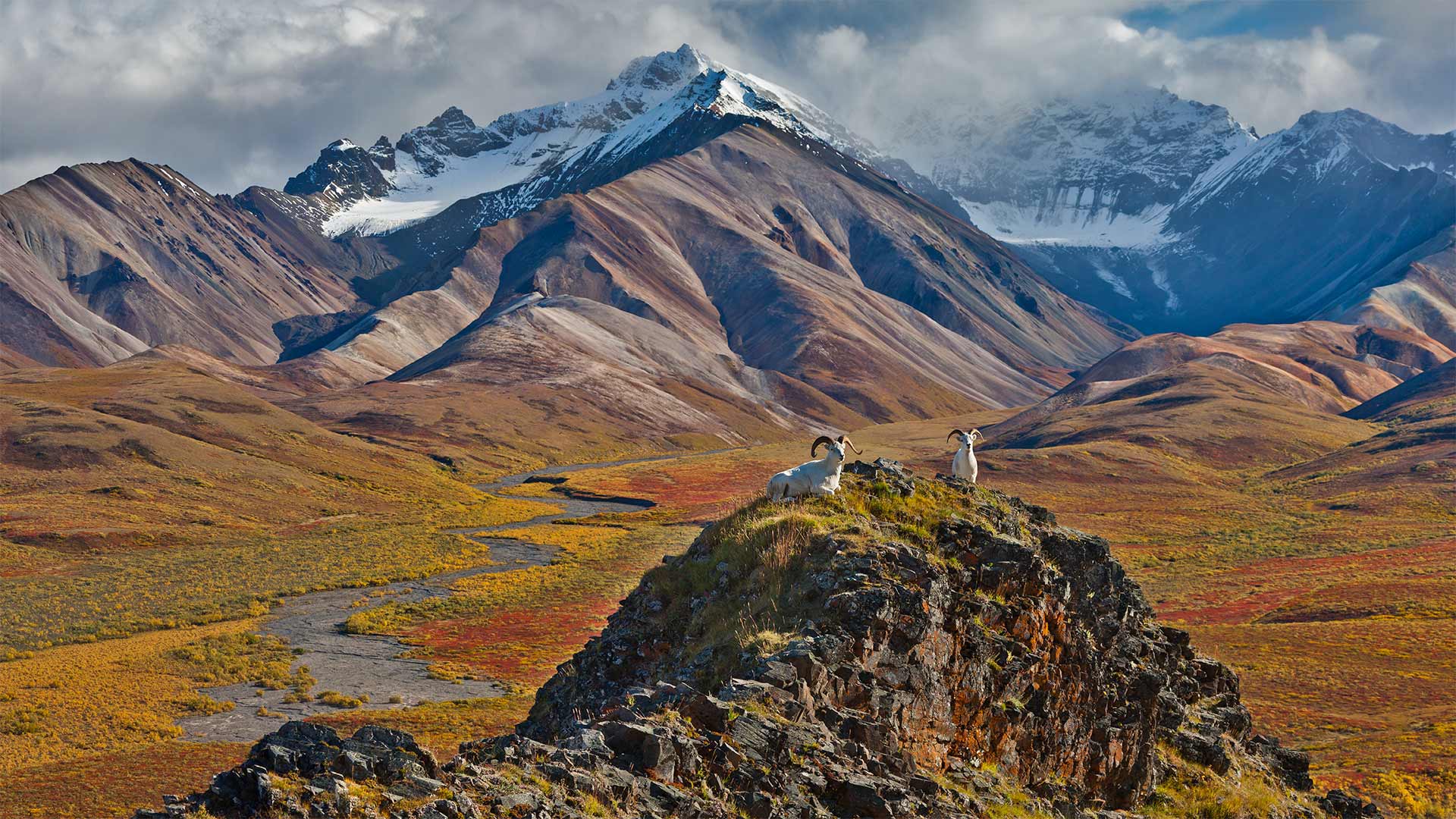 Denali Wallpapers