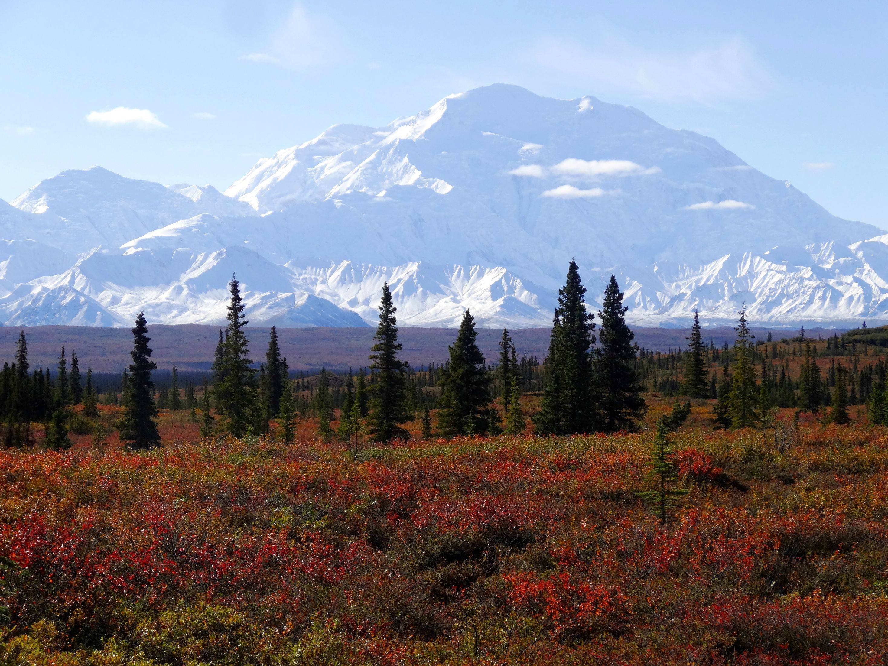 Denali Wallpapers