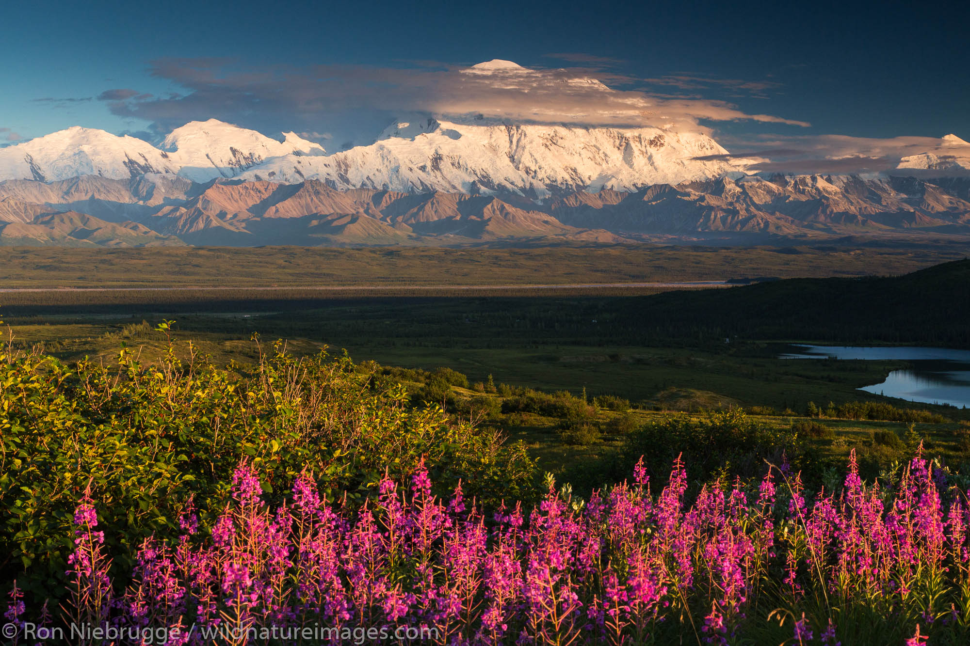 Denali Wallpapers