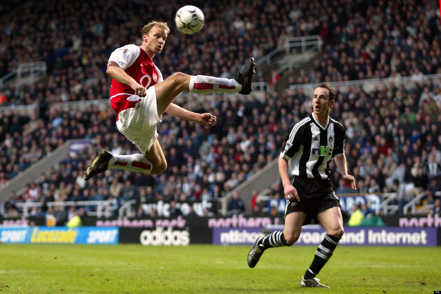 Dennis Bergkamp Wallpapers