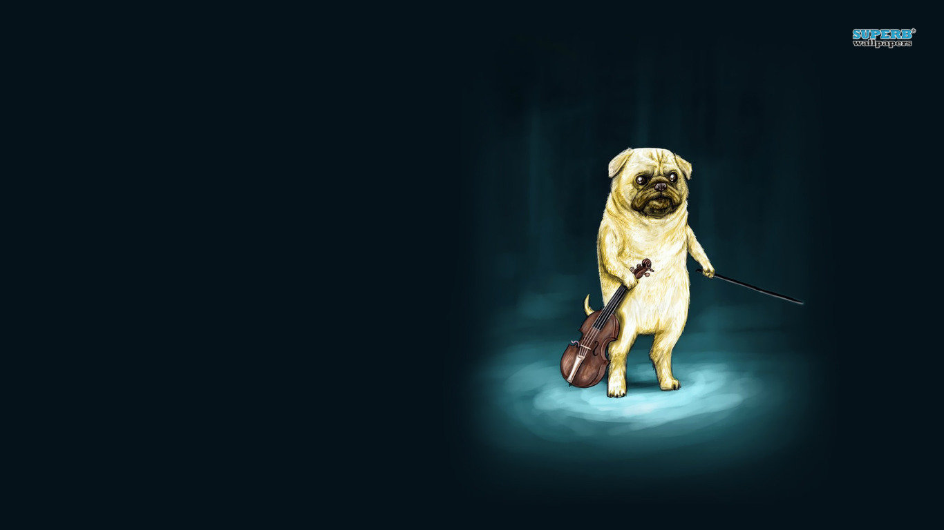 Derpy Dog Wallpapers