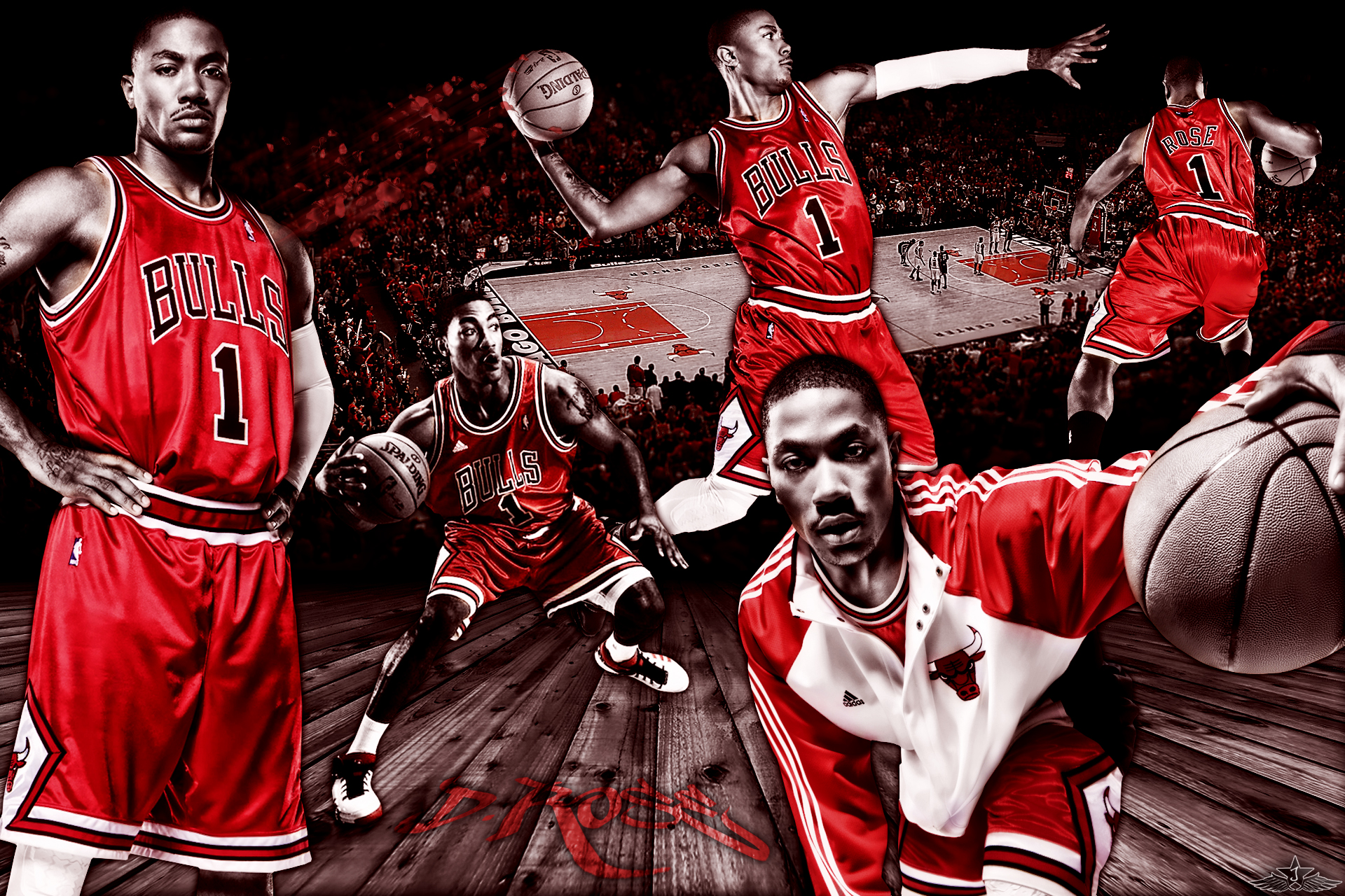 Derrick Rose Chicago Bulls Wallpapers