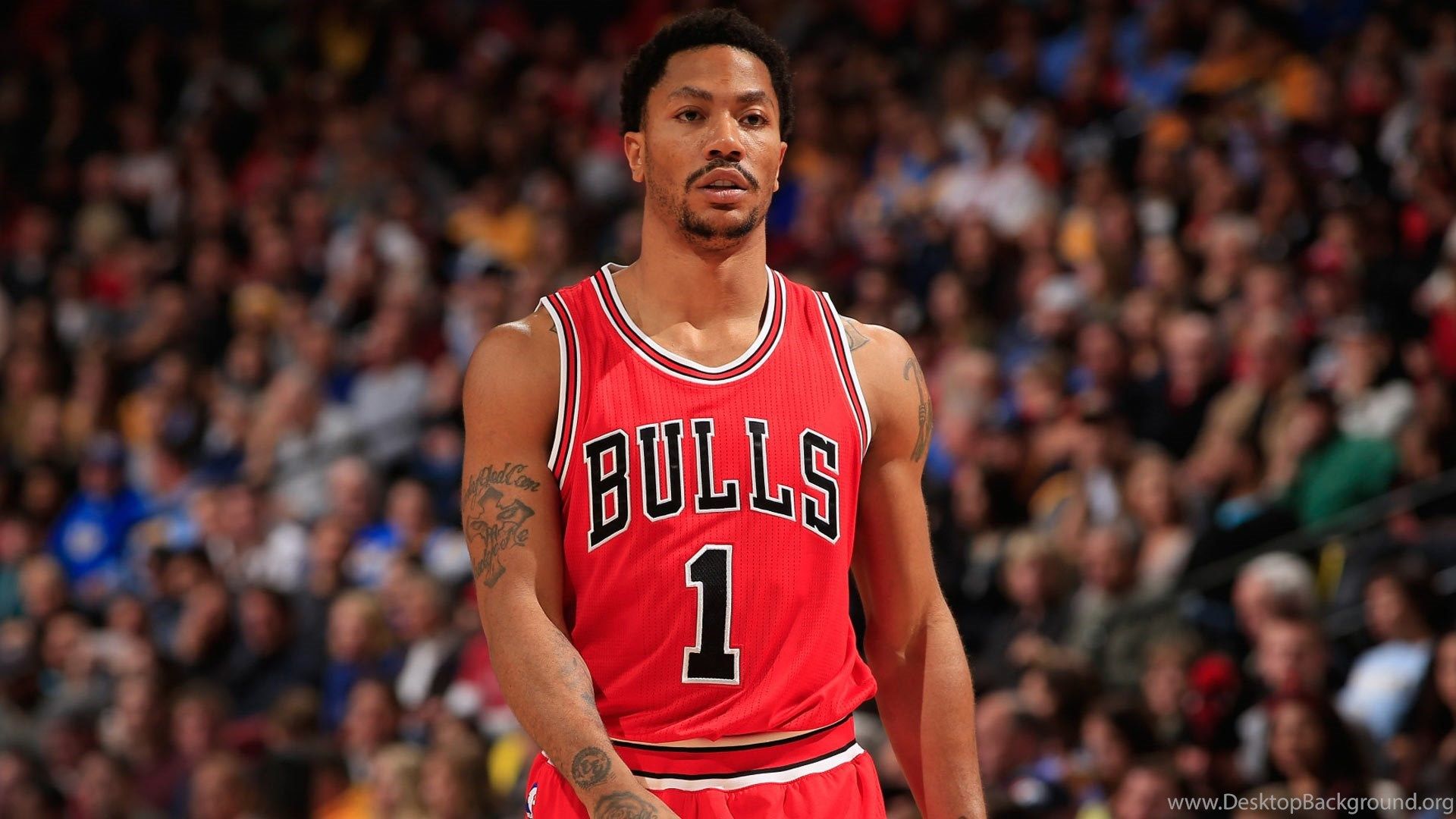 Derrick Rose Chicago Bulls Wallpapers