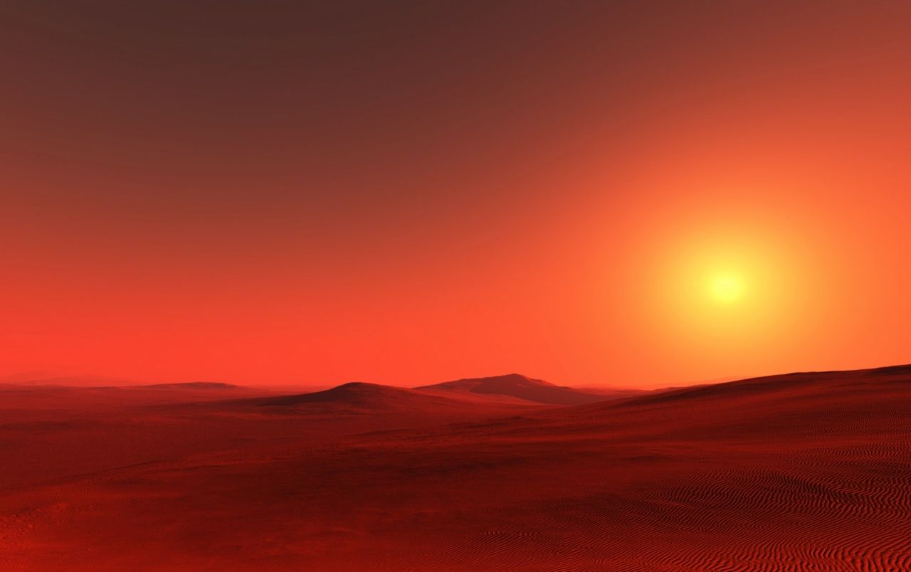 Desert In Neon Sunset Wallpapers