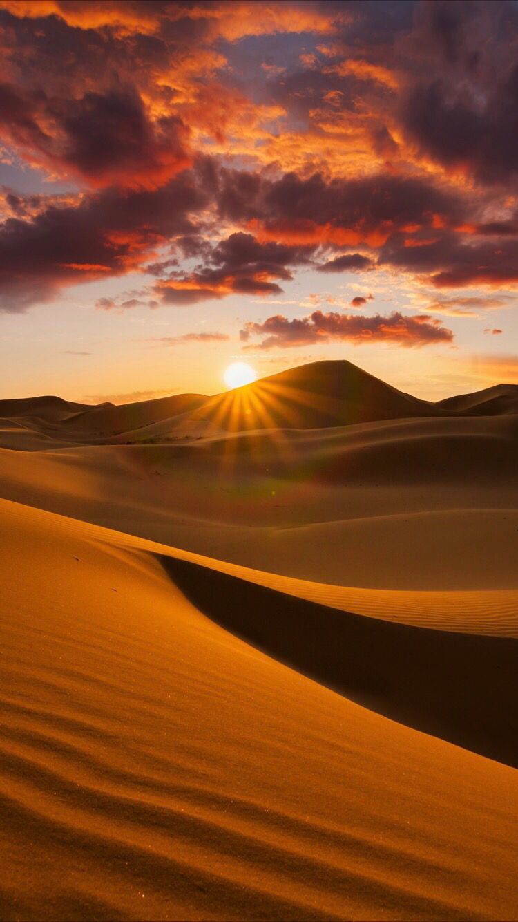 Desert Iphone Wallpapers