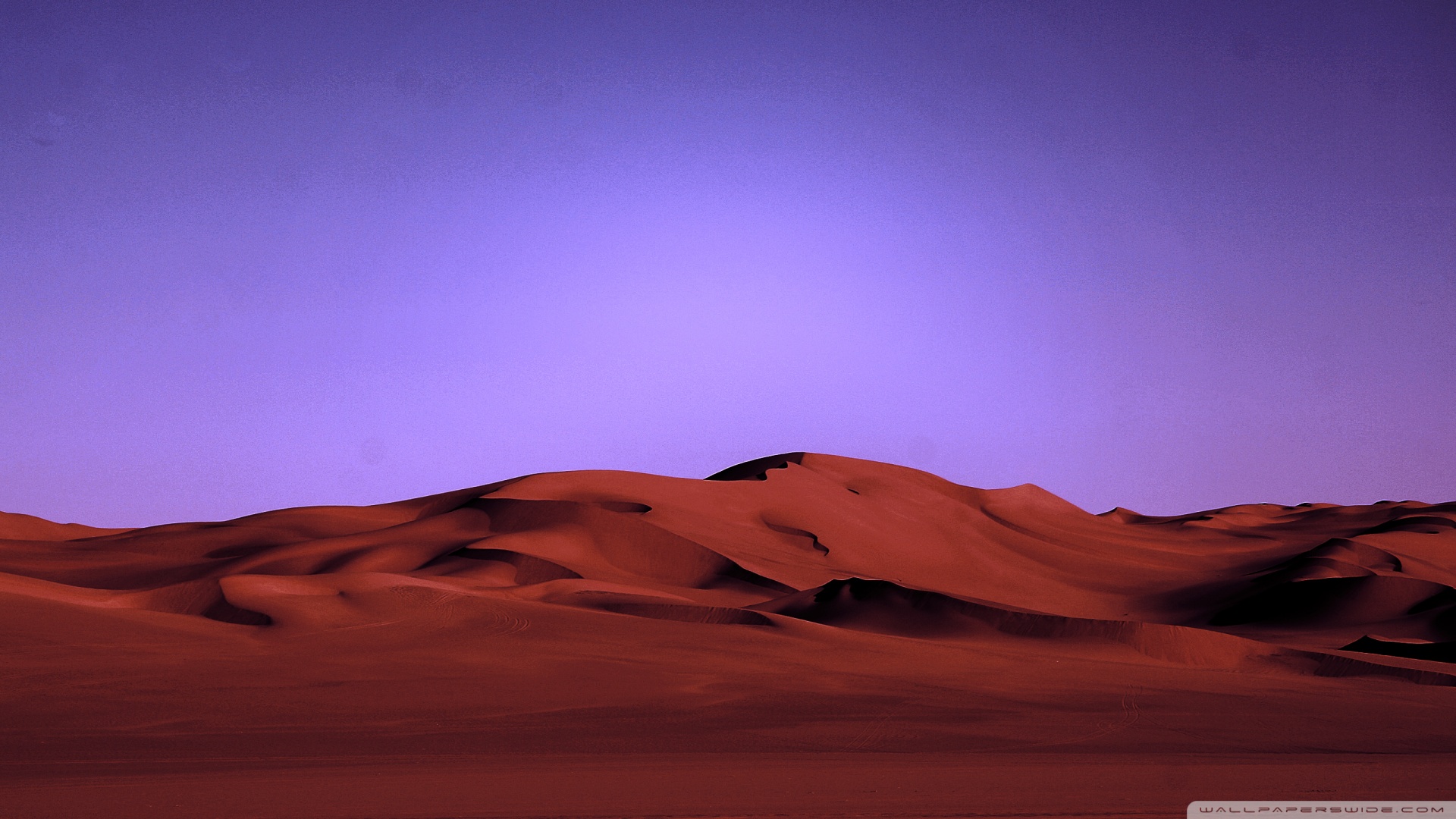 Desert Night Illustration Wallpapers