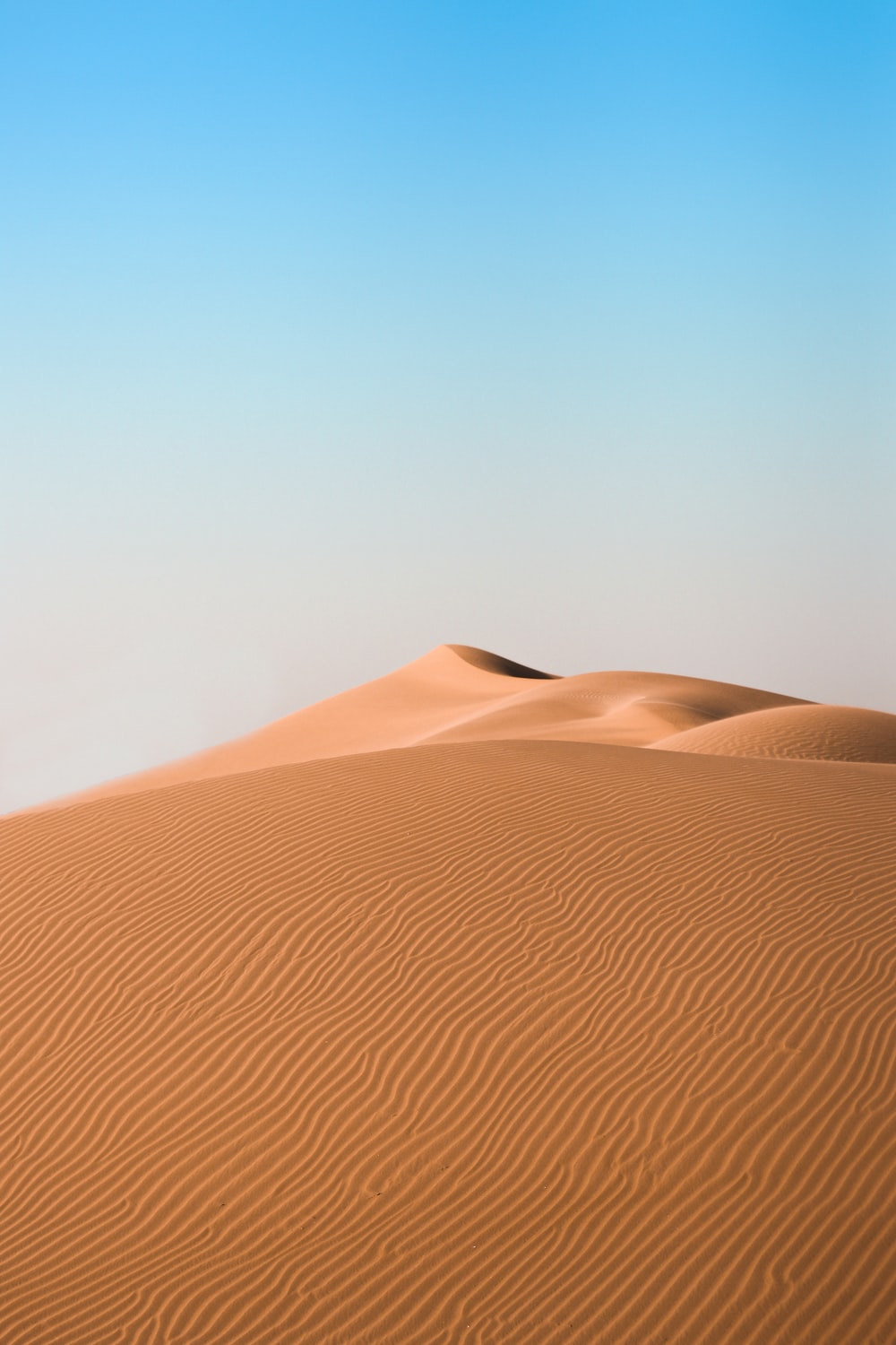 Desert Phone Wallpapers