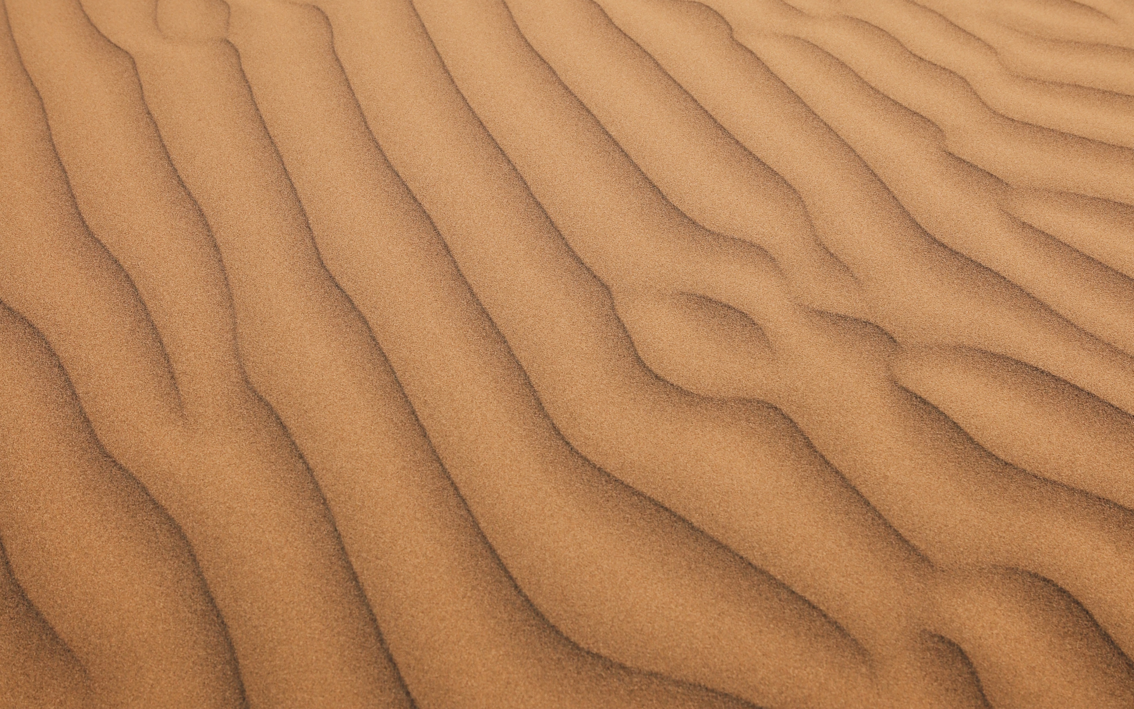 Desert Surface Wallpapers