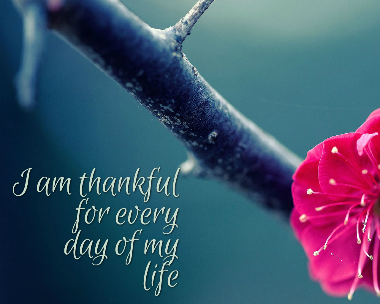 Desktop Affirmation Wallpapers