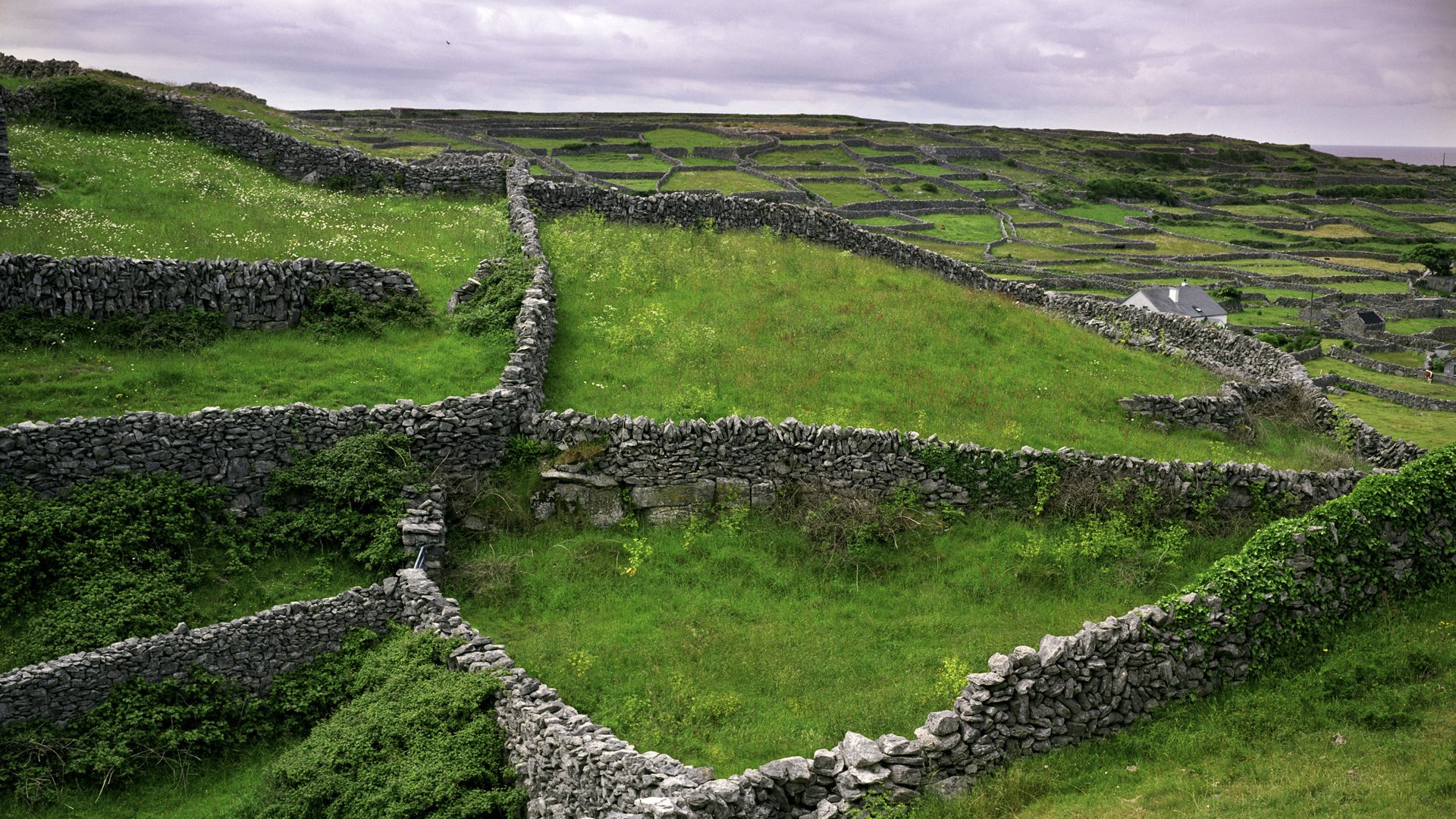 Desktop Backgrounds Ireland