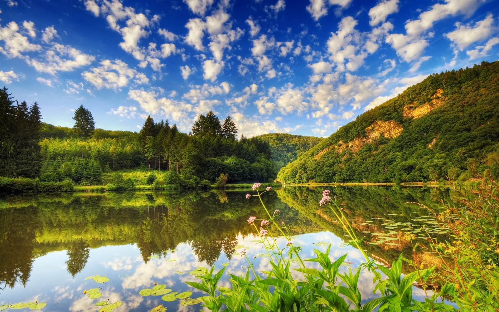 Desktop Backgrounds Lake