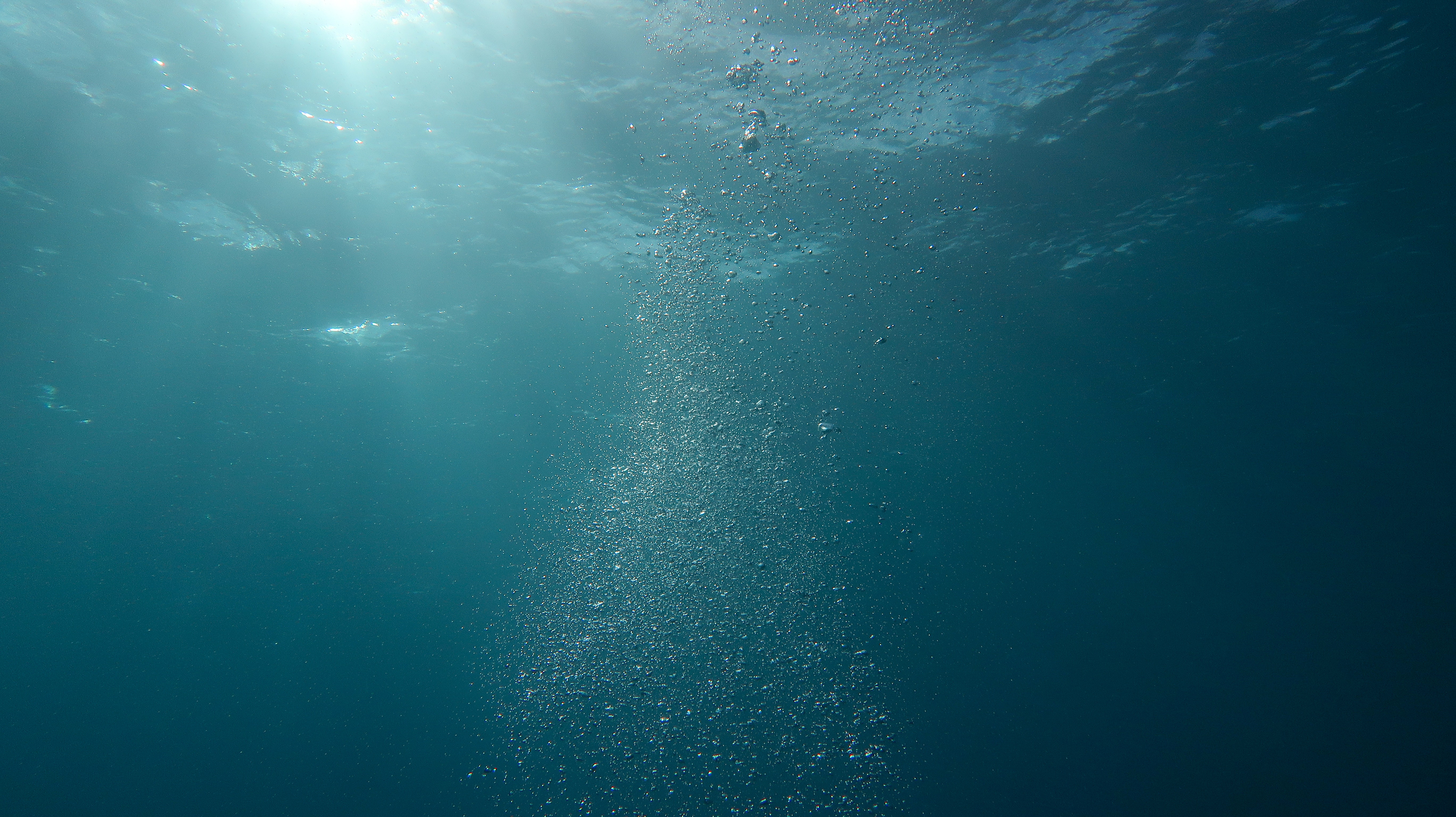 Desktop Backgrounds Underwater