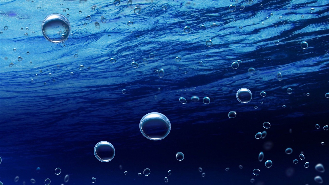 Desktop Backgrounds Underwater