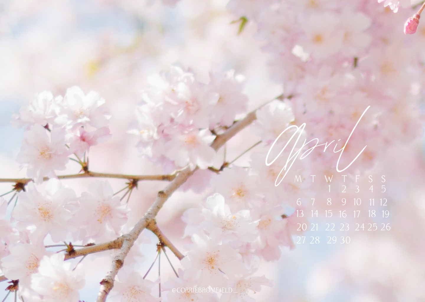 Desktop Spring Wallpapers