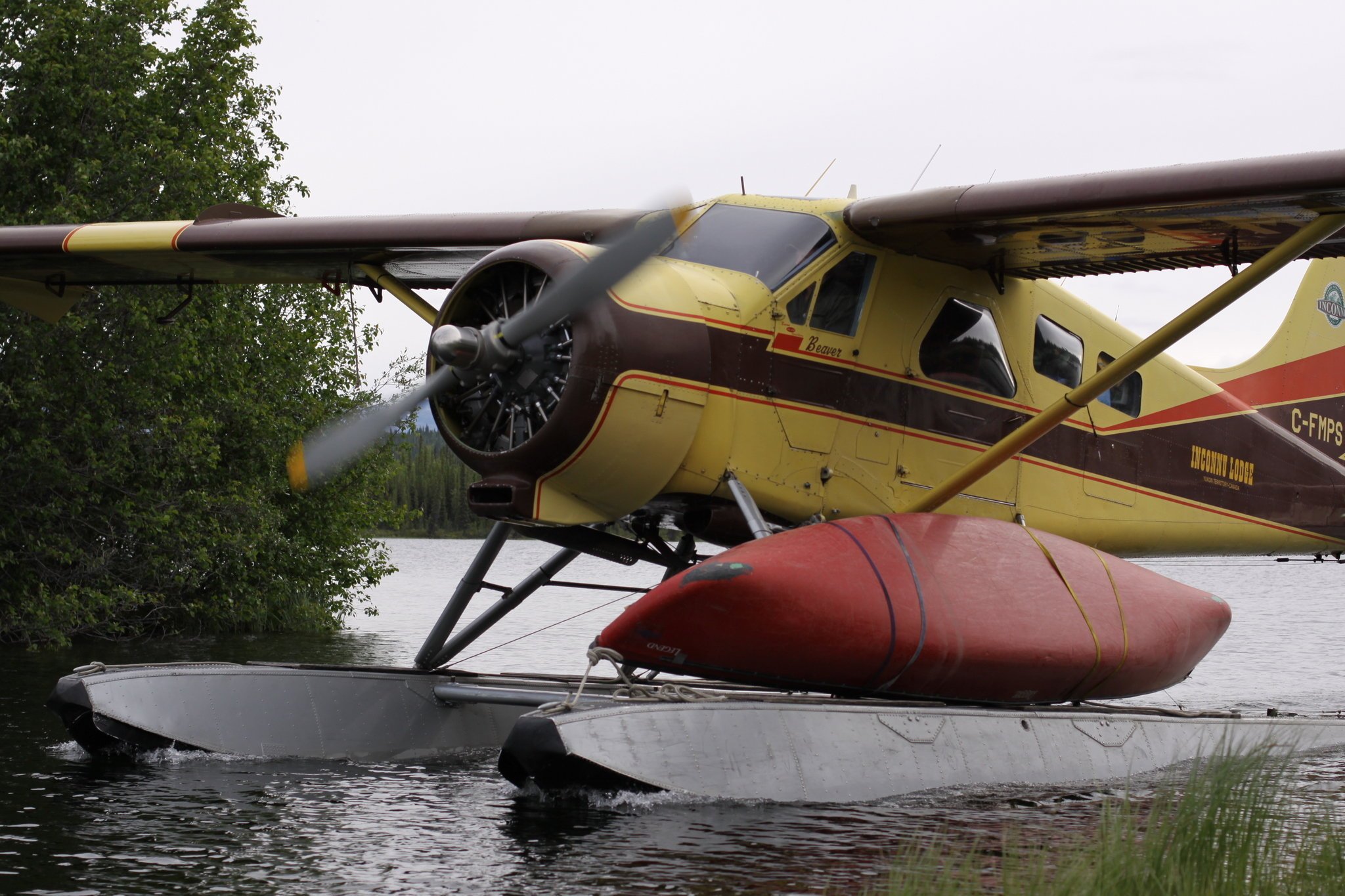 Dhc-2 Beaver Wallpapers