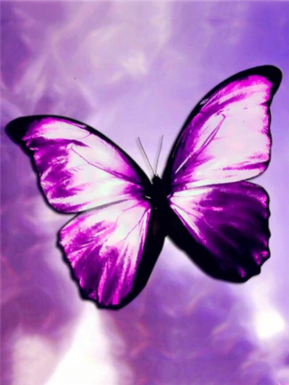 Diamond Butterfly Wallpapers