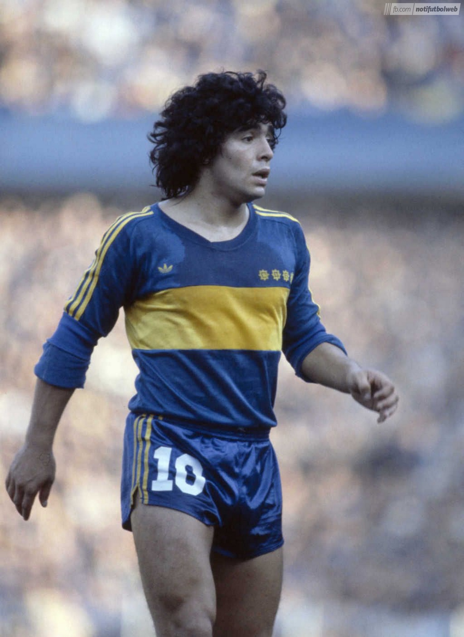 Diego Armando Maradona Wallpapers