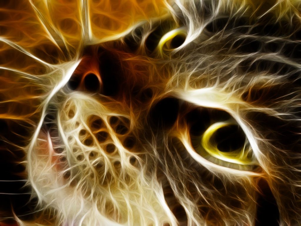 Digital Cat Wallpapers