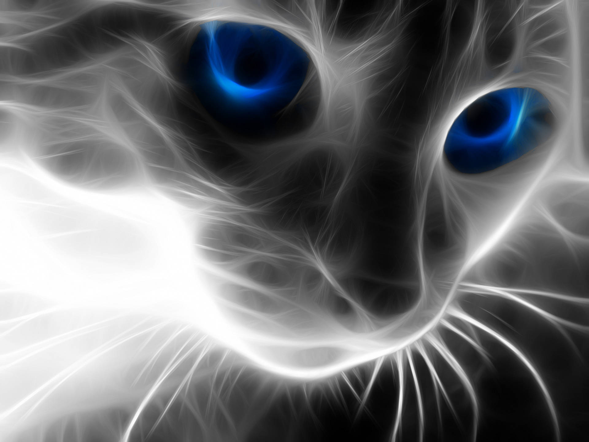 Digital Cat Wallpapers