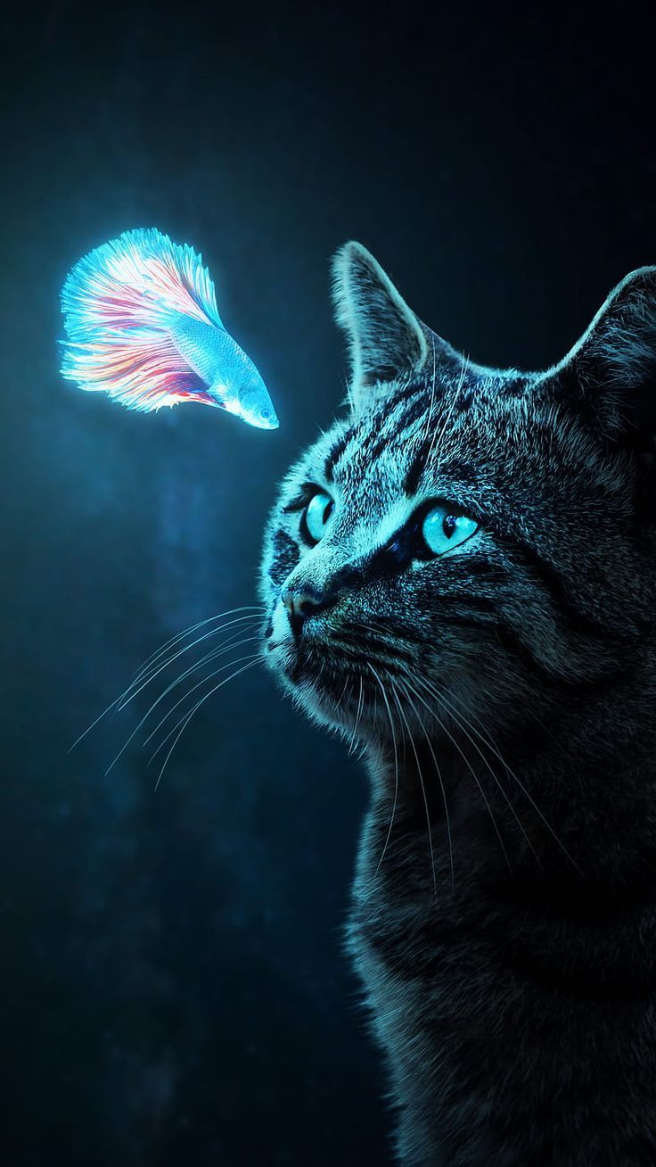 Digital Cat Wallpapers