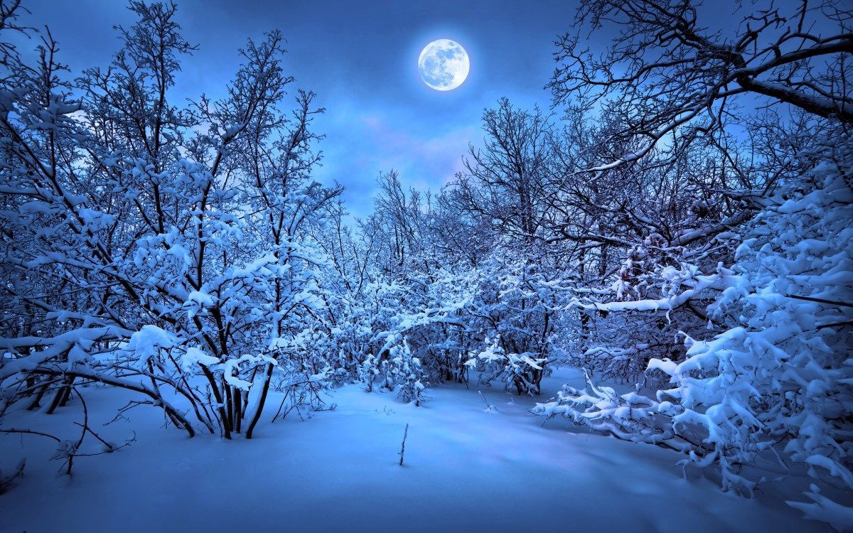 Digital Winter Moon Wallpapers