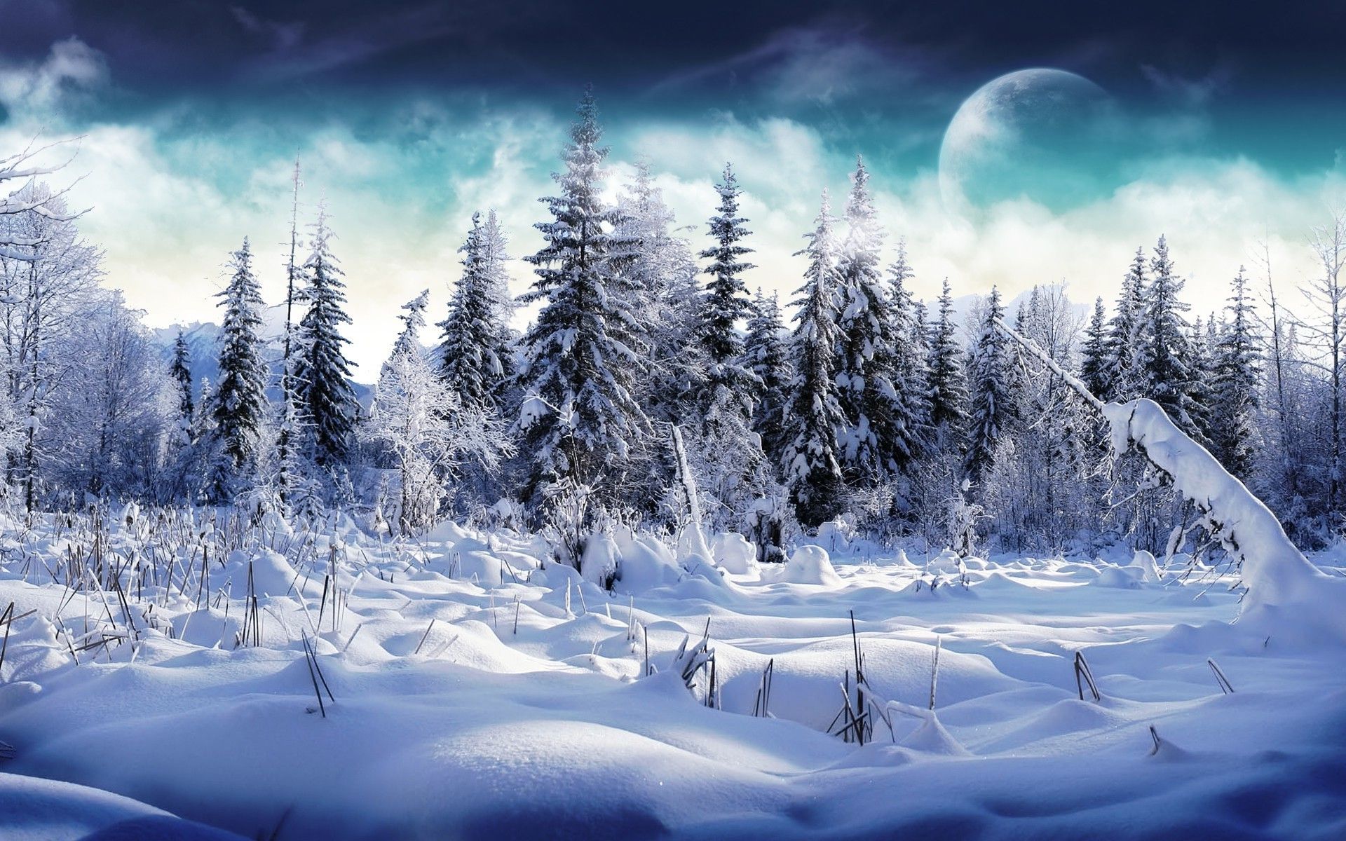 Digital Winter Moon Wallpapers