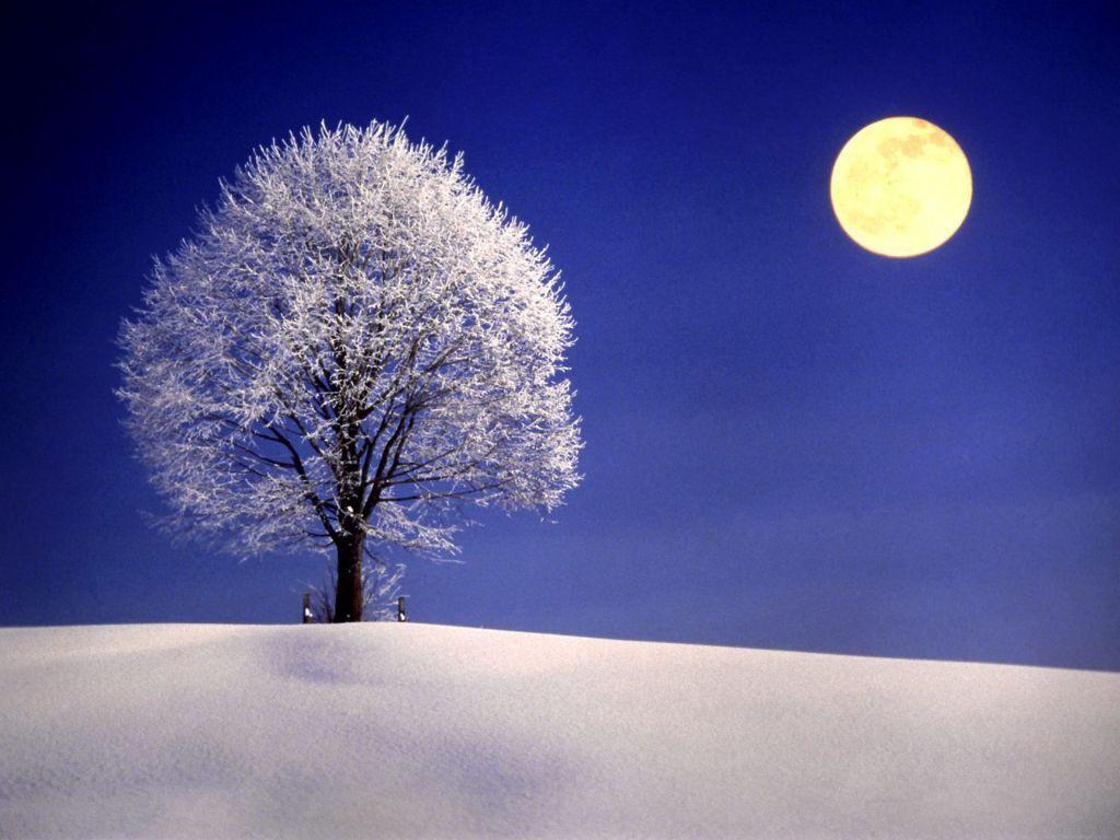 Digital Winter Moon Wallpapers