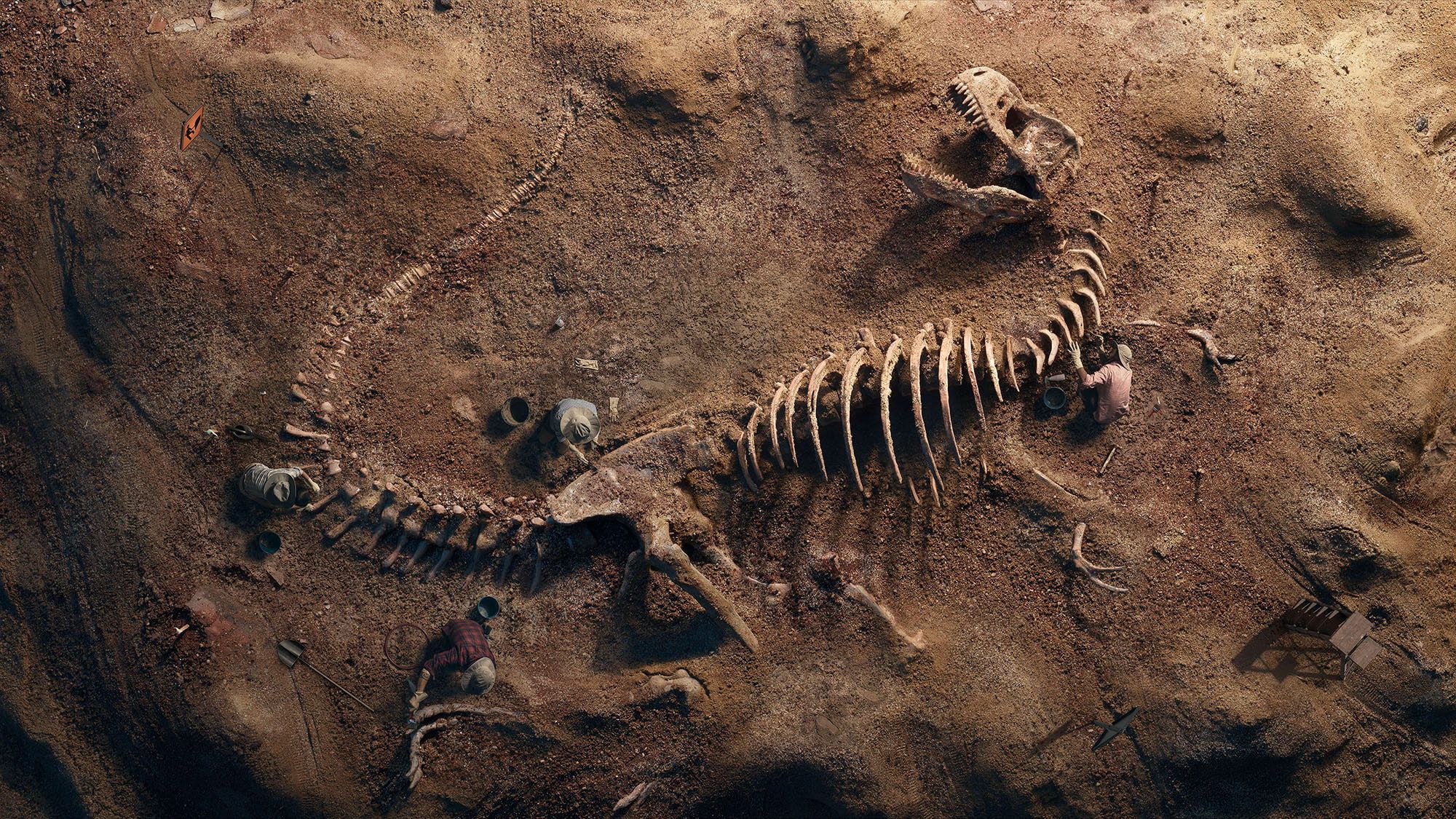Dinosaur Fossil Wallpapers