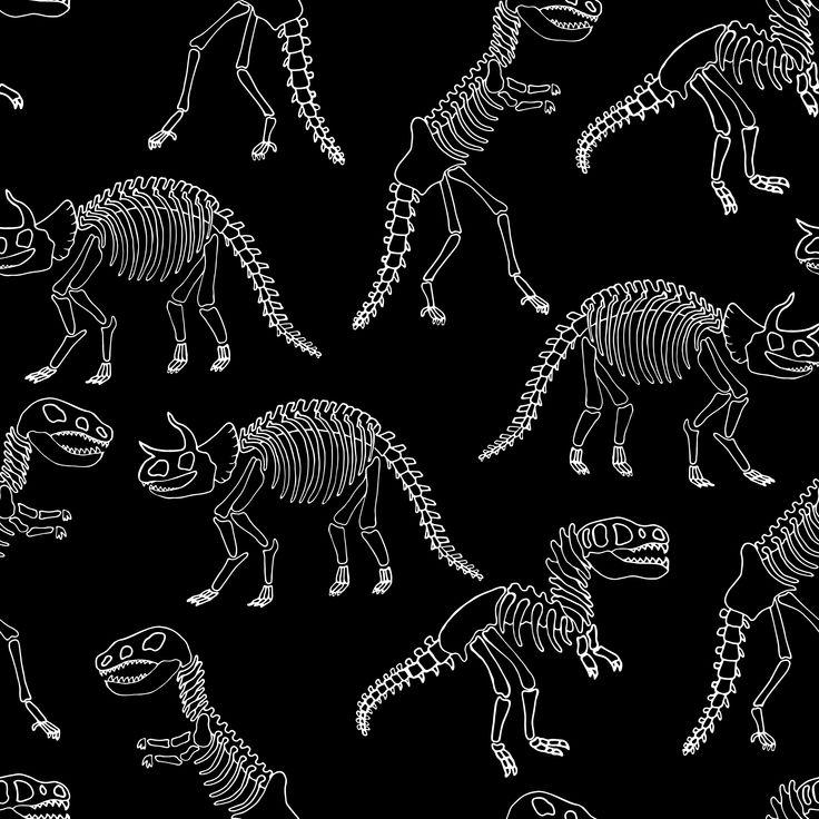 Dinosaur Skeleton Wallpapers