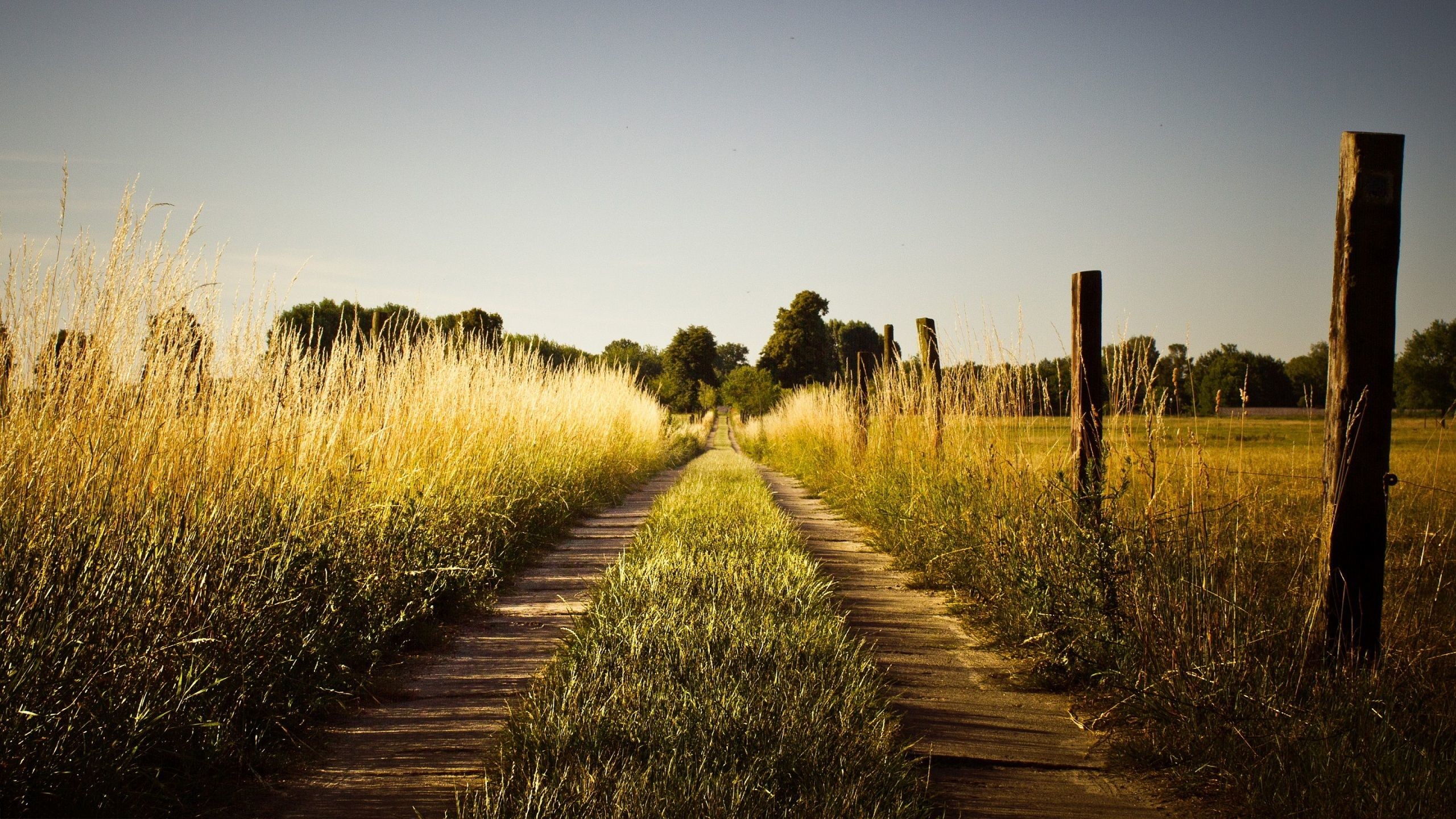 Dirt Road Wallpapers