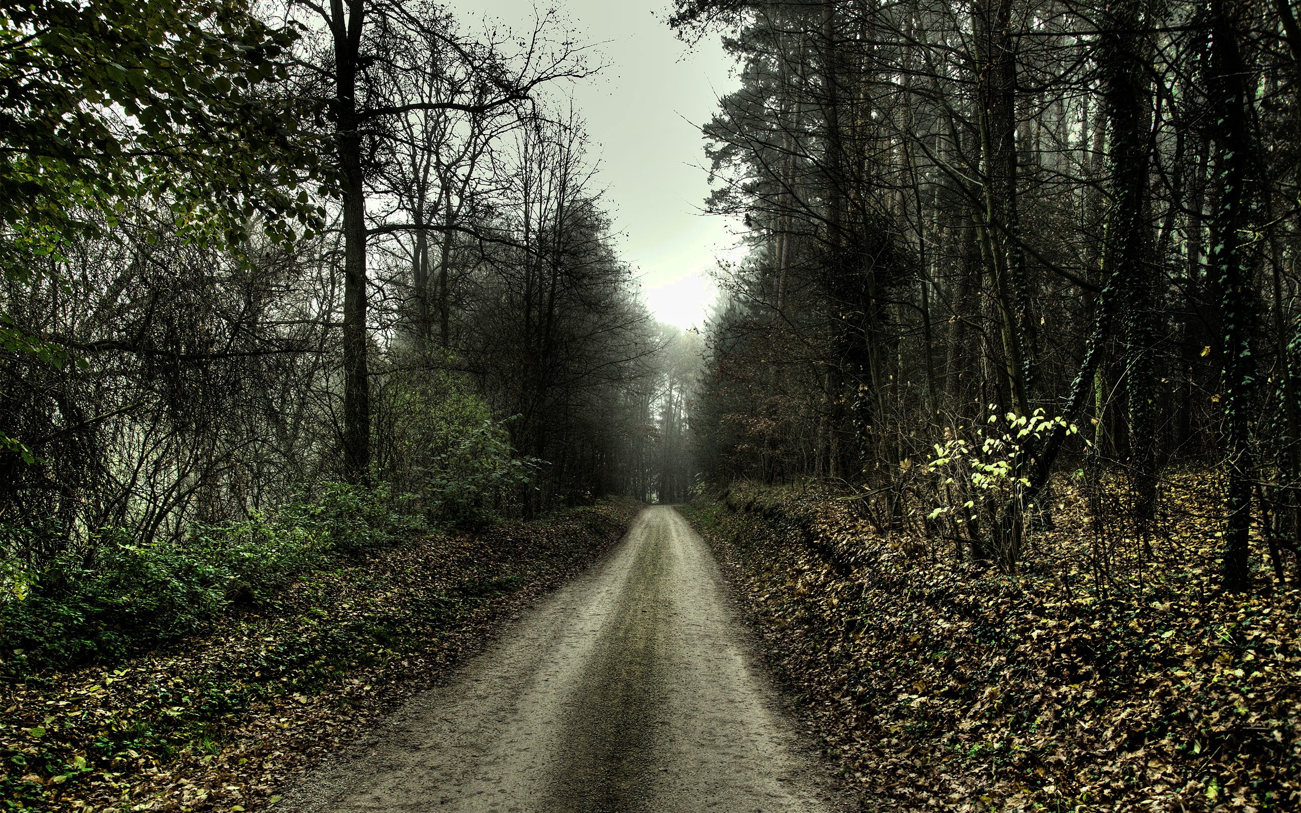 Dirt Road Wallpapers