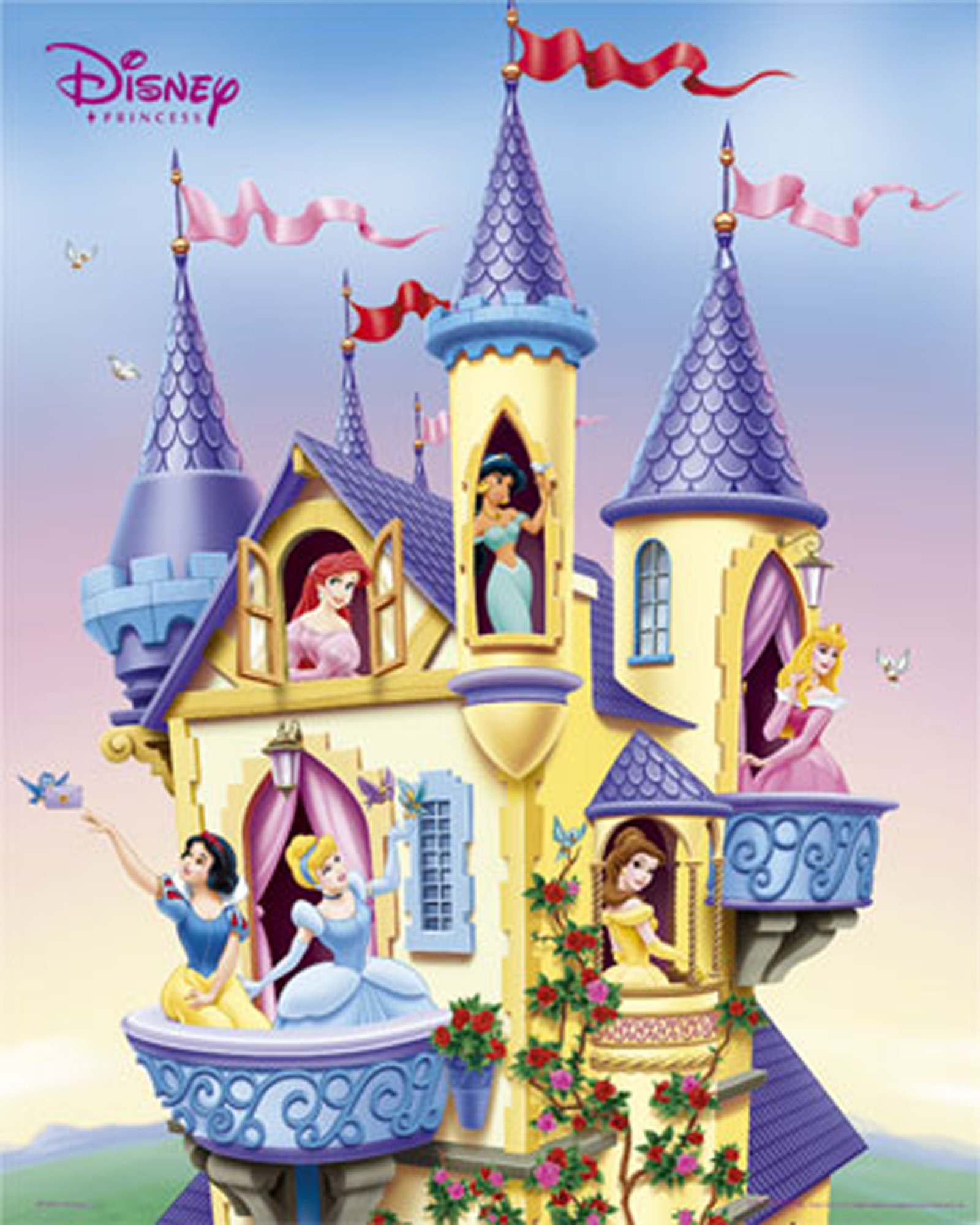 Disney Castle Cartoon Wallpapers