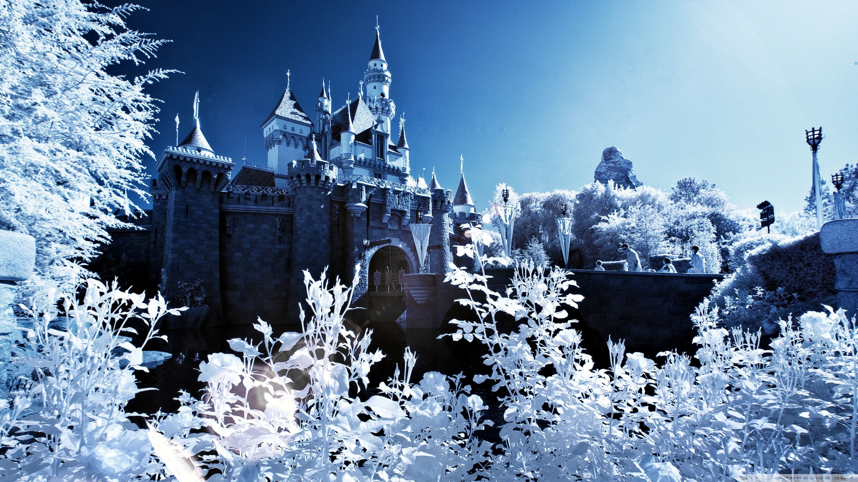 Disney Castle Winter Wallpapers