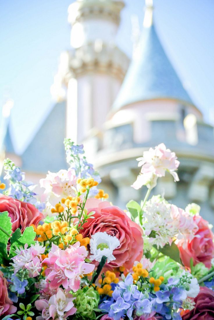 Disney Spring Wallpapers