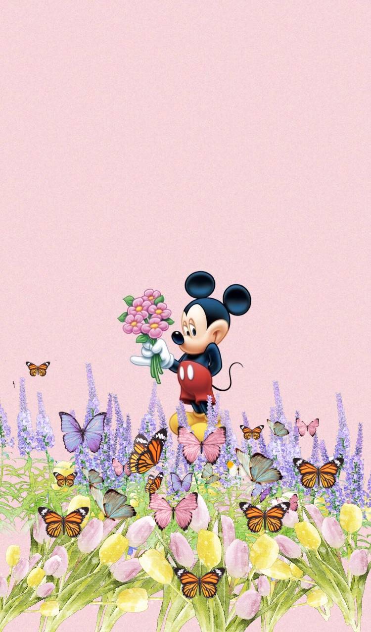 Disney Spring Wallpapers