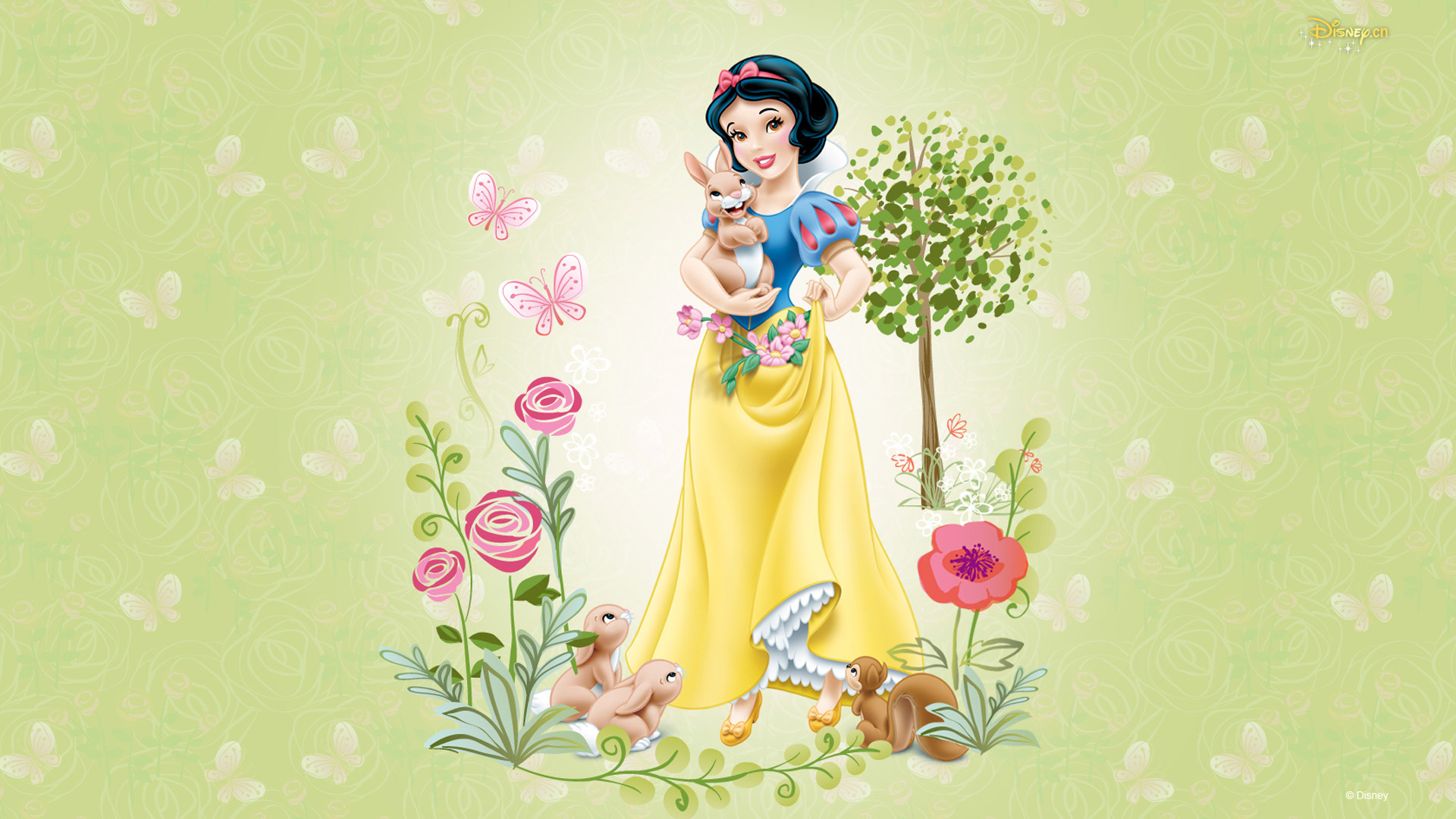 Disney Spring Wallpapers