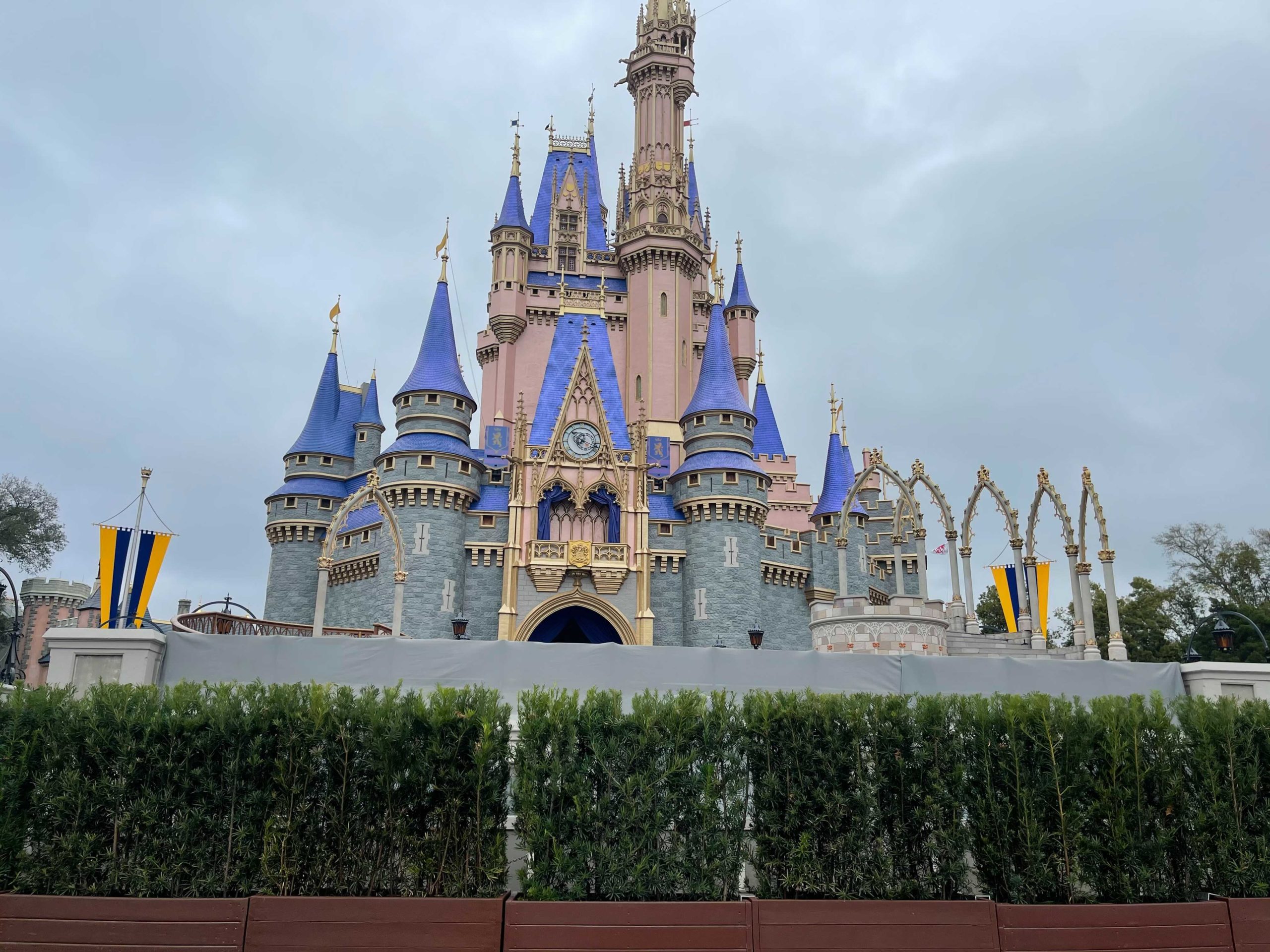 Disney World Castle Background