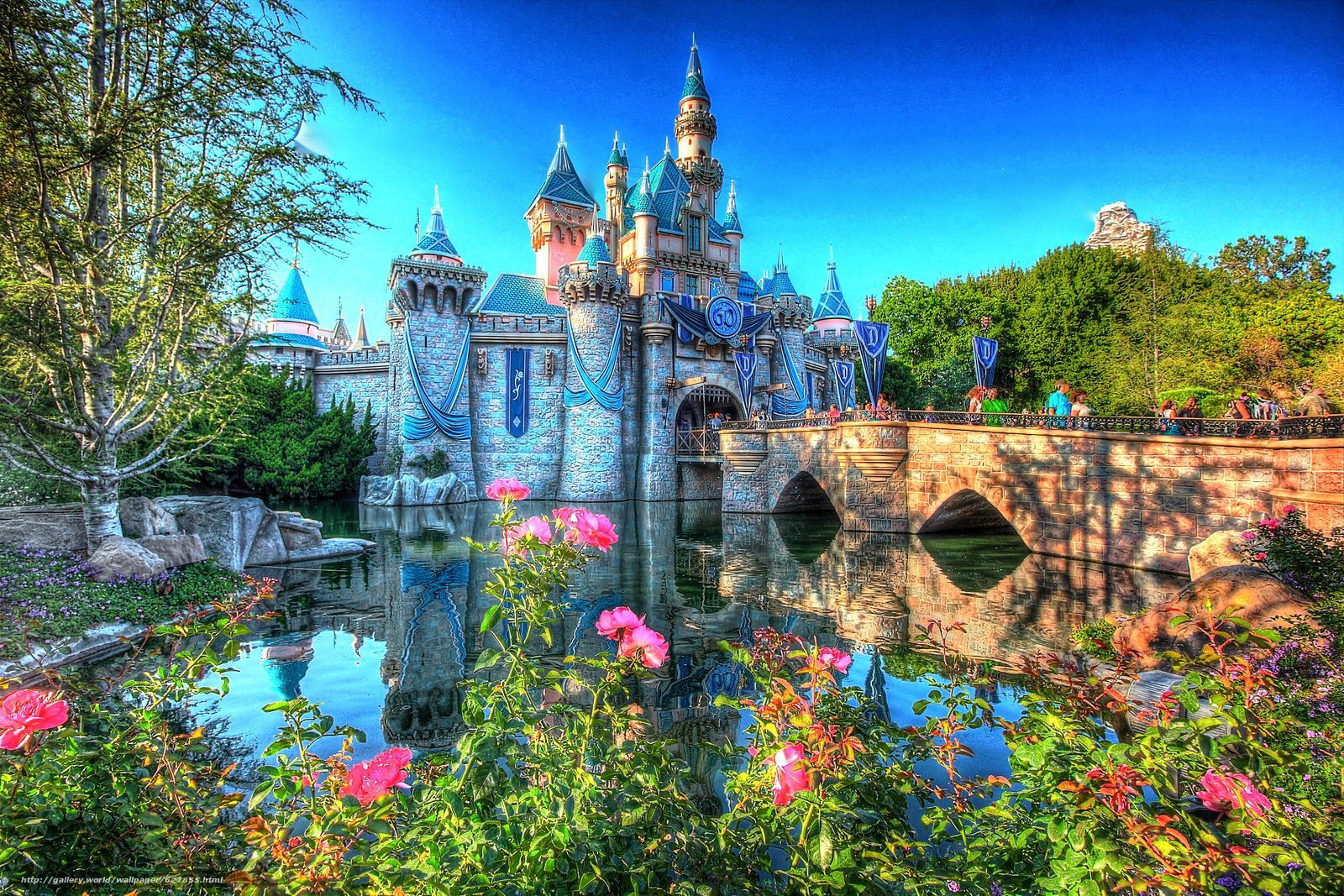 Disneyland California Wallpapers