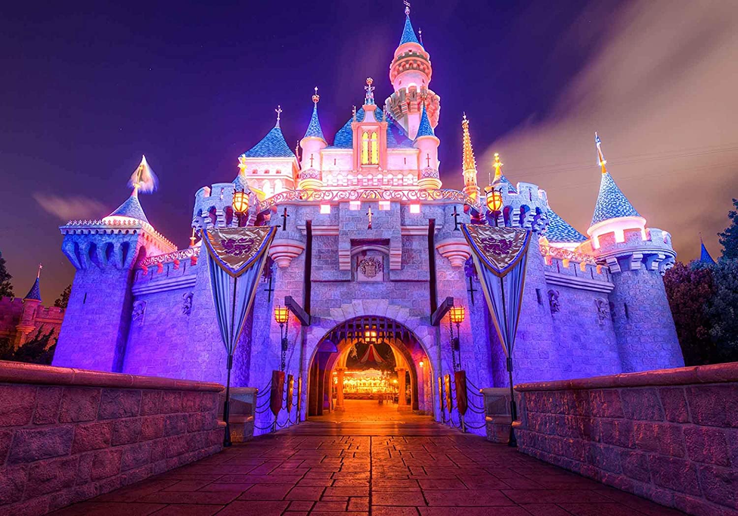Disneyland Castle Background