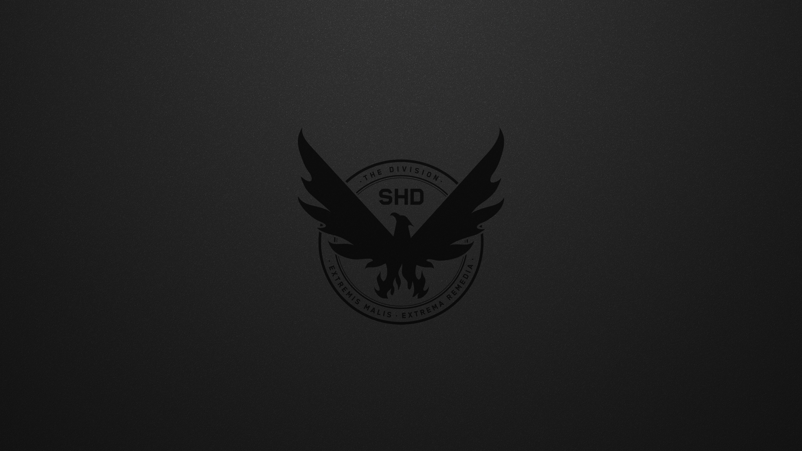 2 заставку. Tom Clancy's the Division 2 обои. The Division 2 Wallpaper. Обои 2к на рабочий стол. The Division 2 обои 1920 1080.