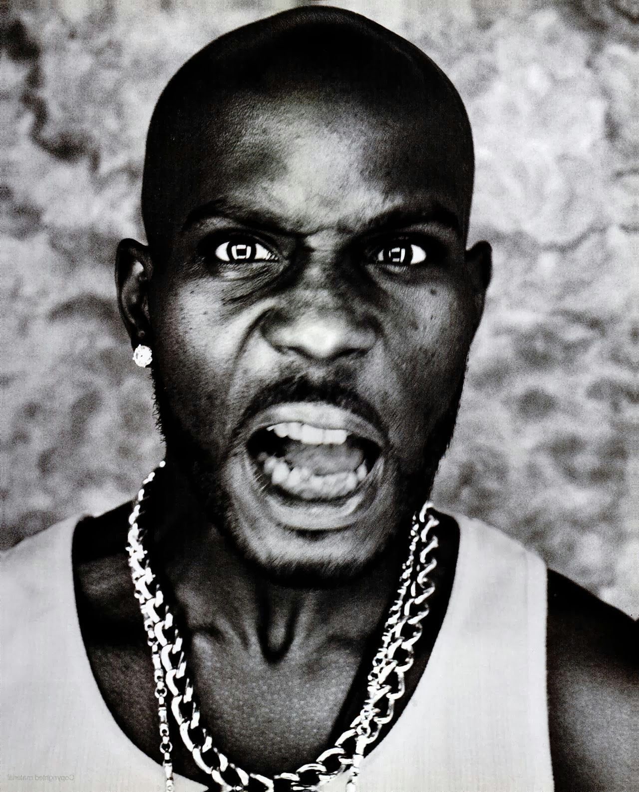 Dmx Wallpapers